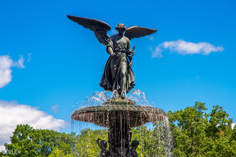 Central Park