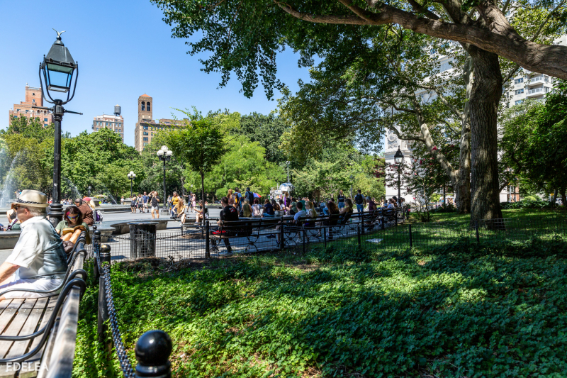 NYC Washington Square Park