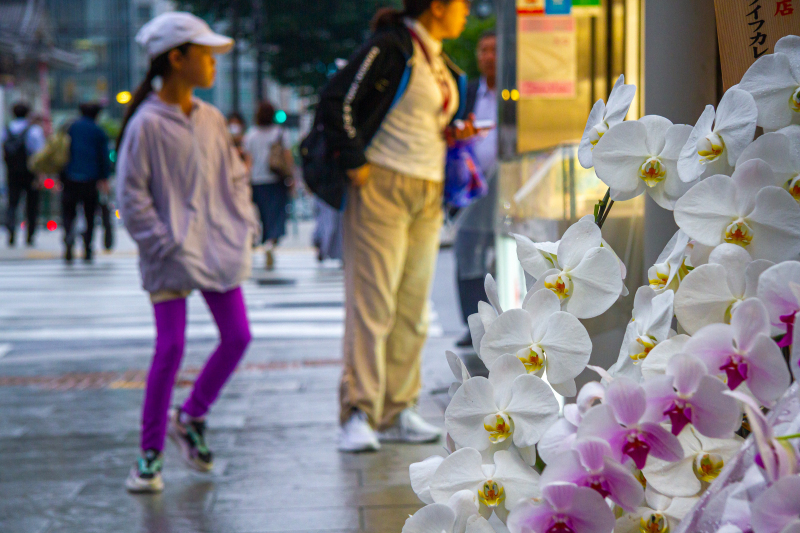 Ginza