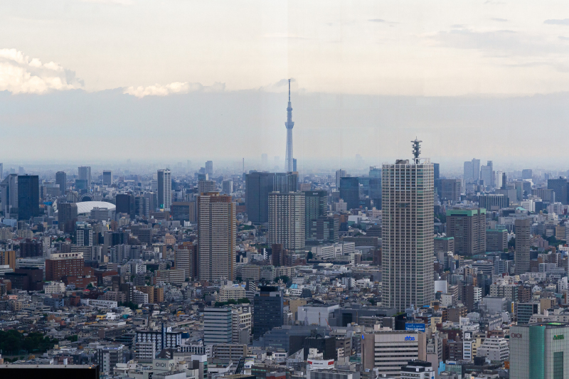View from Metropolitan Governtment Building Observatory