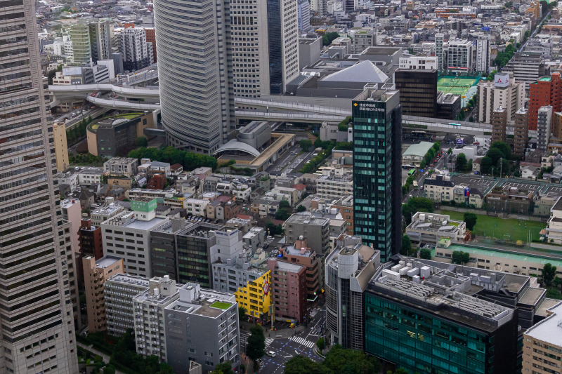View from Metropolitan Governtment Building Observatory