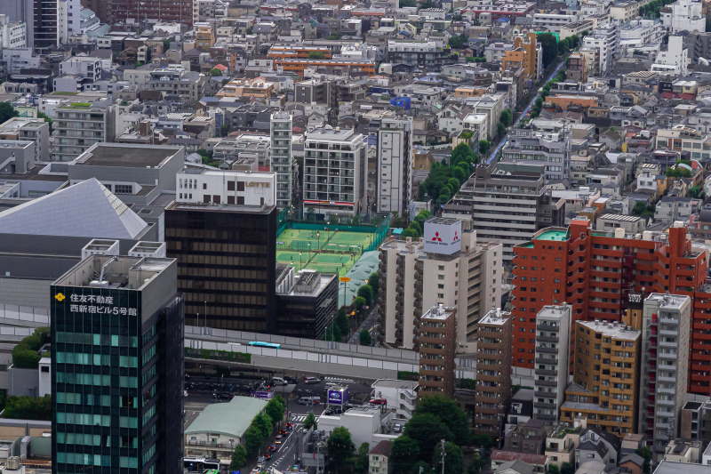 View from Metropolitan Governtment Building Observatory