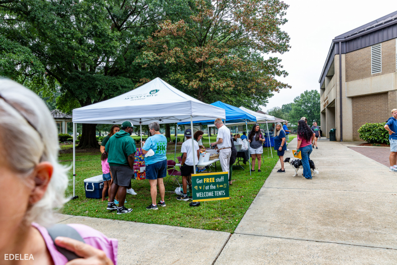 University of Mount Olive