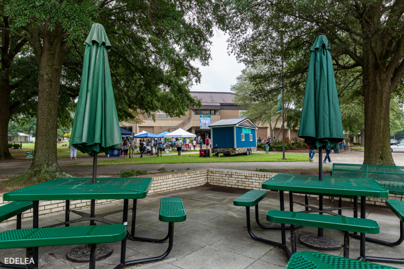 University of Mount Olive