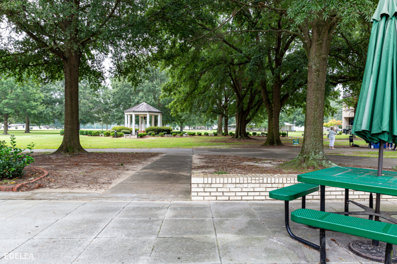 University of Mount Olive