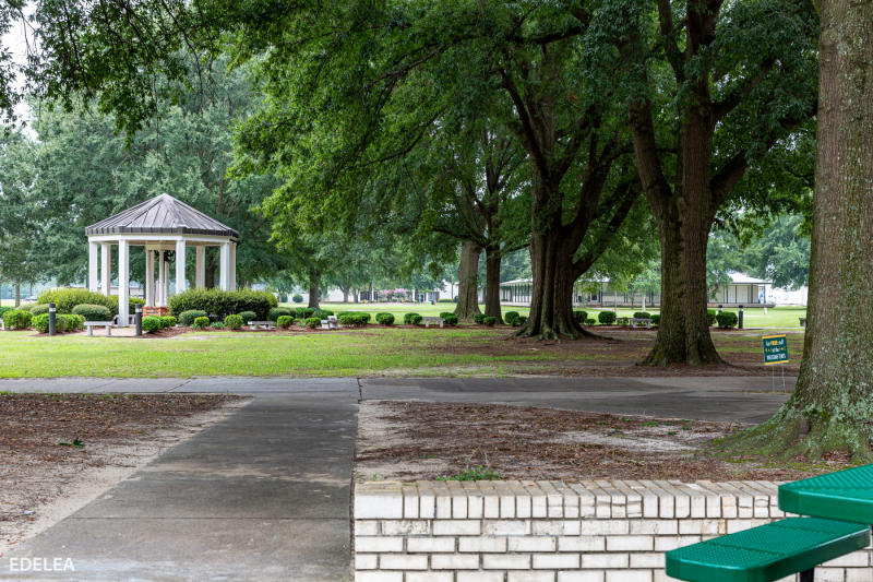 University of Mount Olive